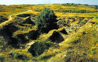 Руины древней Ольвии, VI-V в. до н.э., с.Парутино, Николаевская об-ть