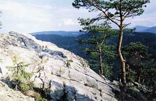 Скала песчаников в Горганах, Карпаты